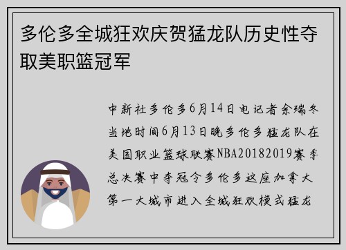 多伦多全城狂欢庆贺猛龙队历史性夺取美职篮冠军